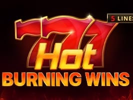 Hot Burning Wins screenshot